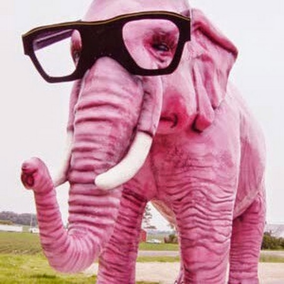 Meet your Posher, Emily - Picture 1 of 1